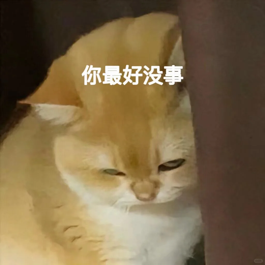 可爱猫猫表情包｜没人跟我玩