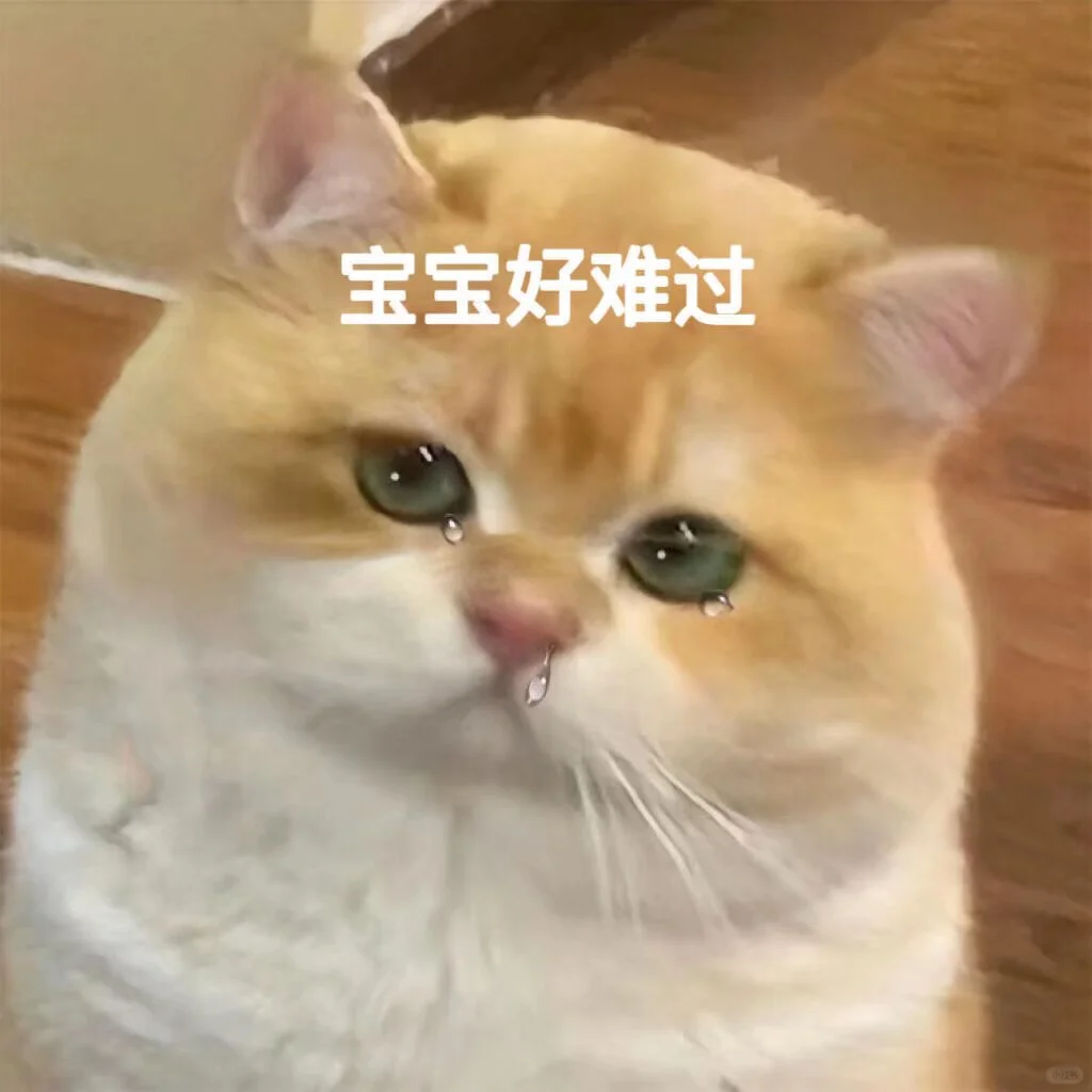 可爱猫猫表情包｜没人跟我玩