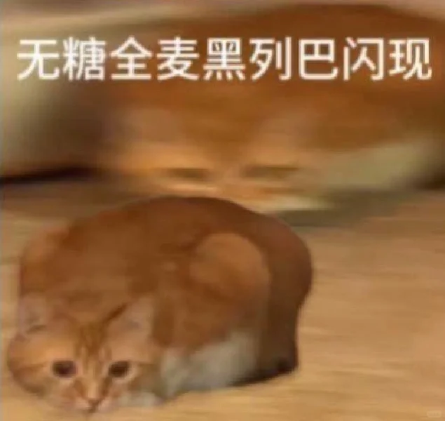 老公们还有没有这种无糖小猫食物表情包。。