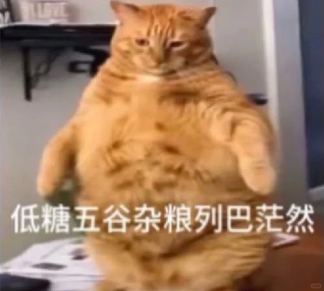 老公们还有没有这种无糖小猫食物表情包。。