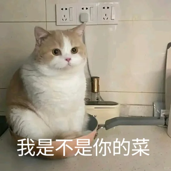 猫me表情包|今晚检查身体