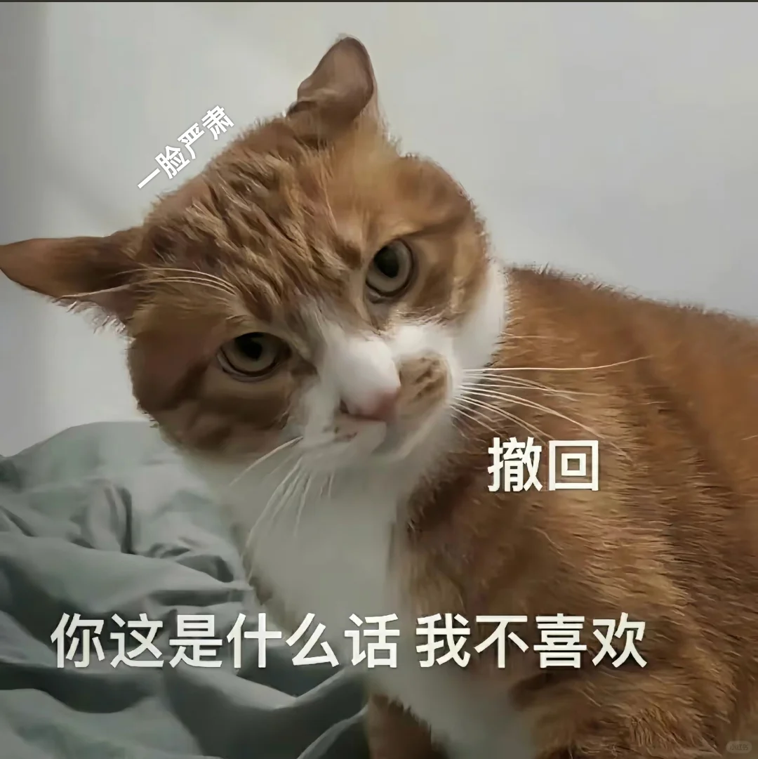 可爱猫猫表情包（混进一只耶耶）