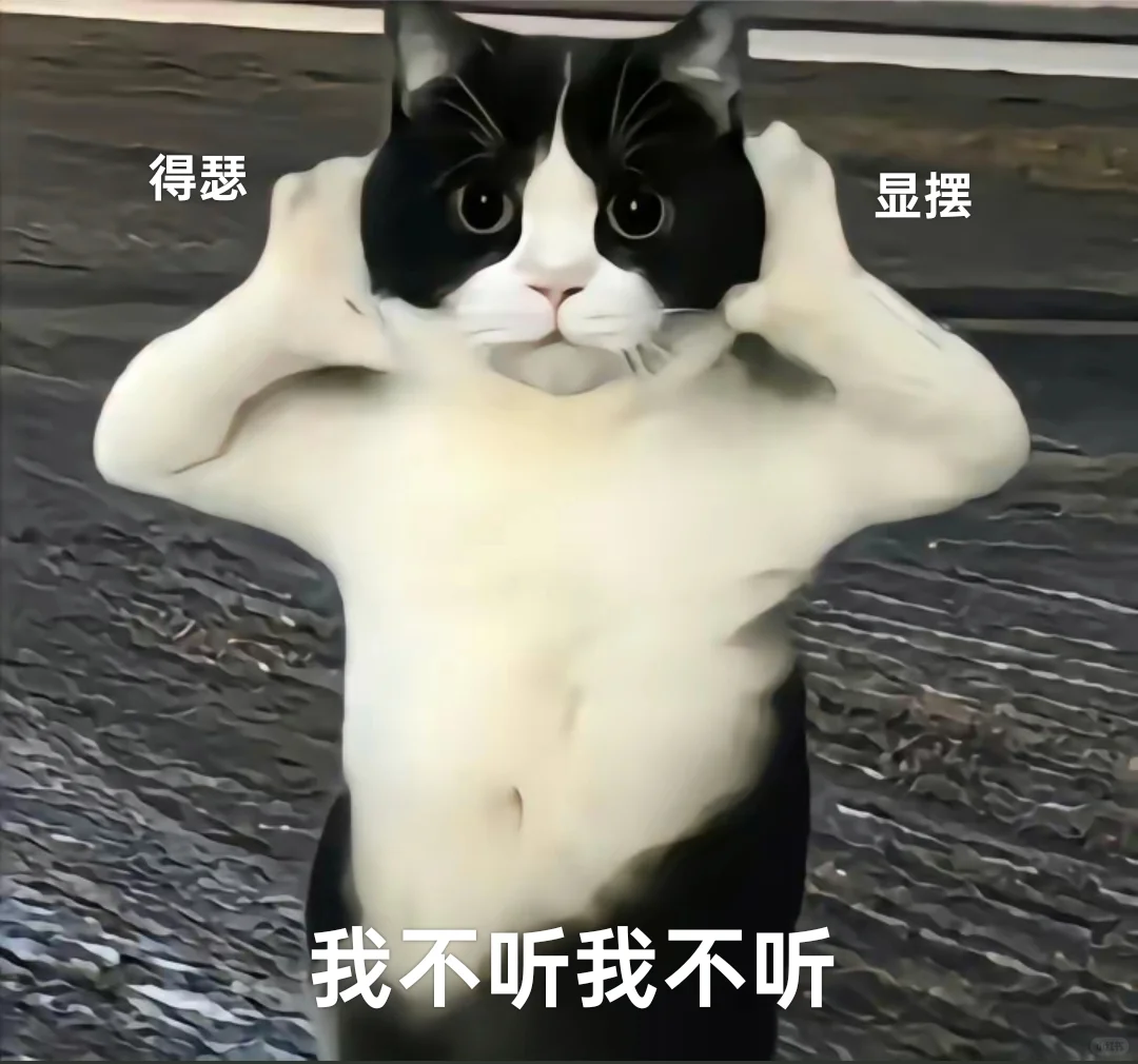 可爱猫猫表情包（混进一只耶耶）