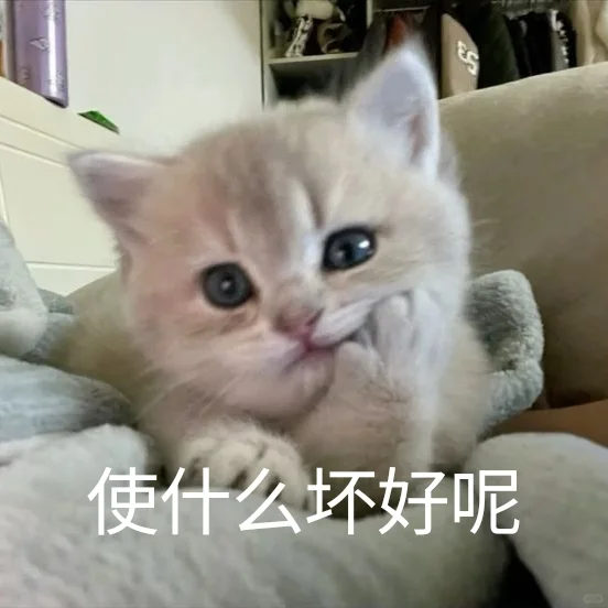 猫me表情包|今晚检查身体