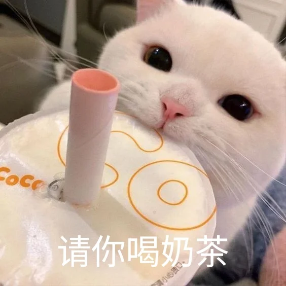 猫me表情包|今晚检查身体