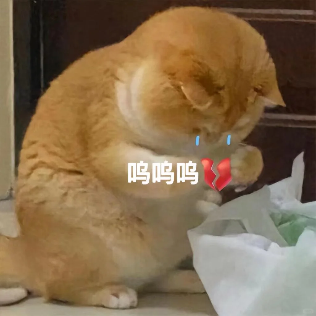 可爱猫猫表情包｜没人跟我玩