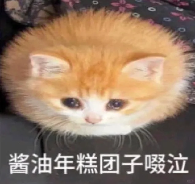 老公们还有没有这种无糖小猫食物表情包。。