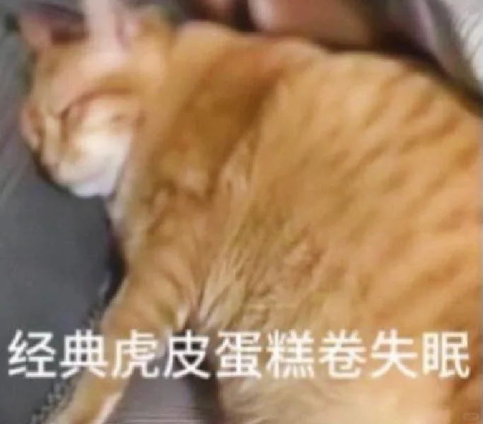 老公们还有没有这种无糖小猫食物表情包。。