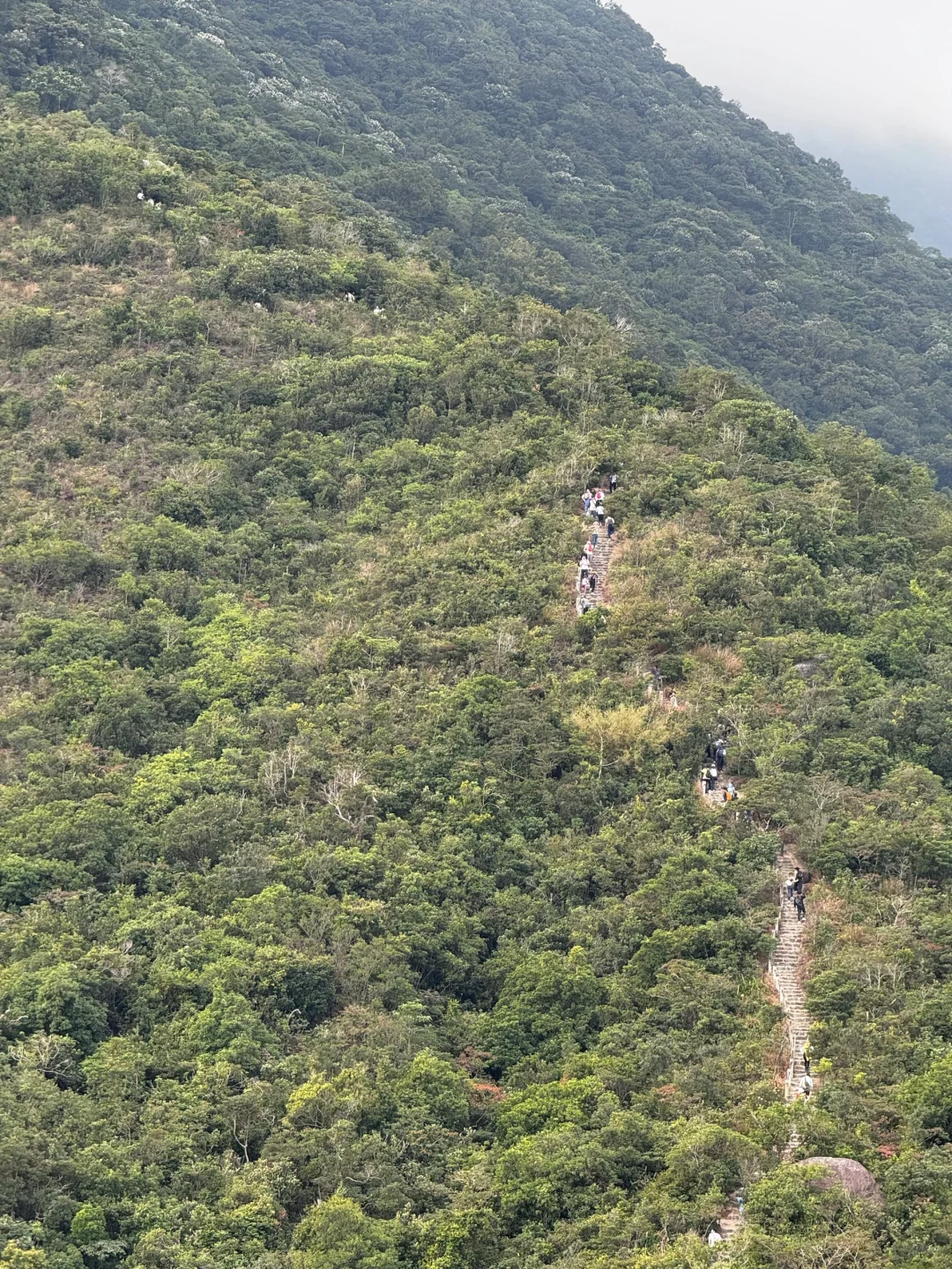 我又要瘦了…今日是消耗了1000卡路里女孩