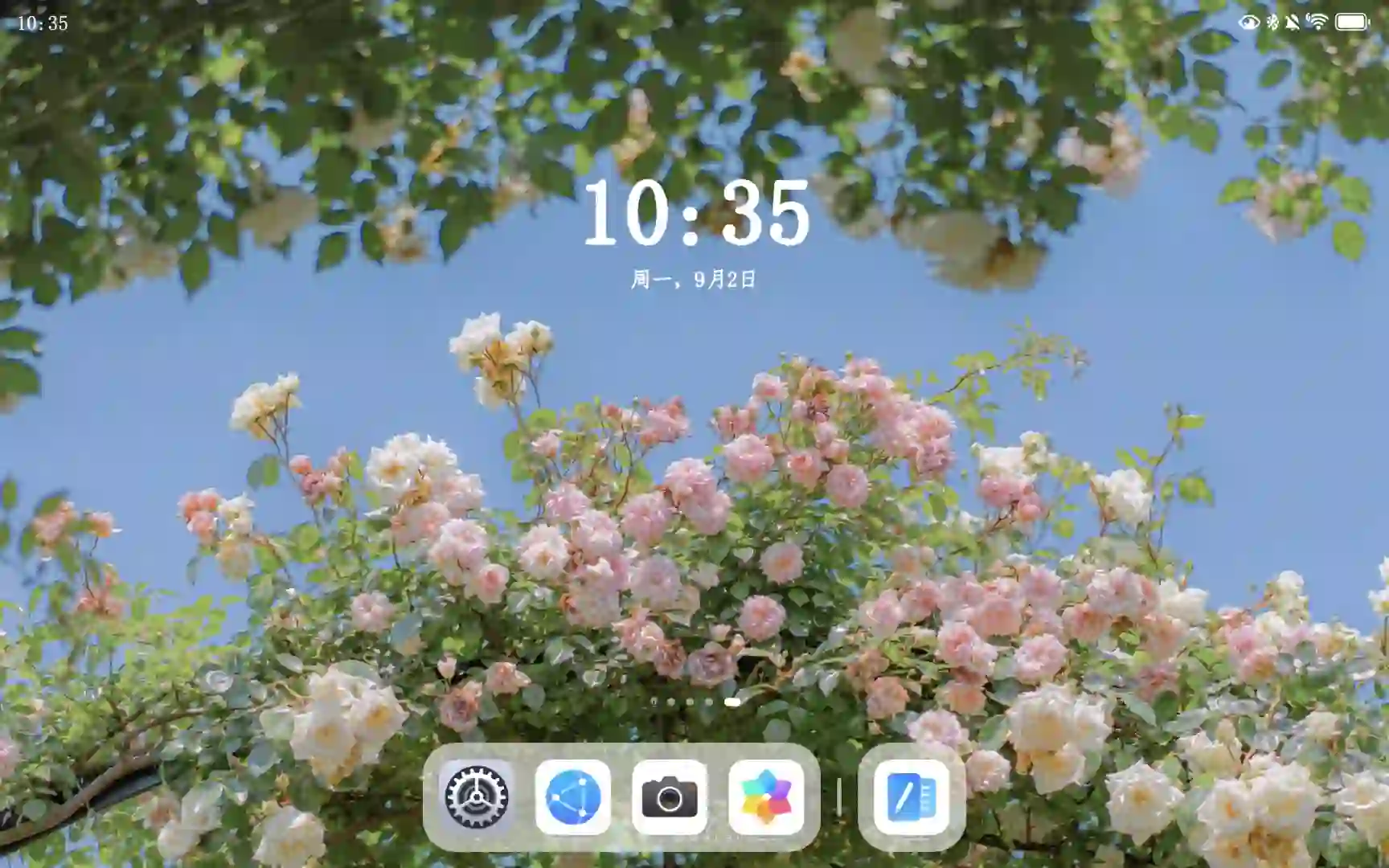 花?丨平板电脑 iPad壁纸 桌面壁纸