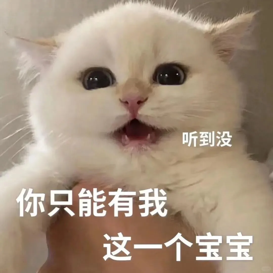 猫猫表情包. 越想越气 偷偷抹泪