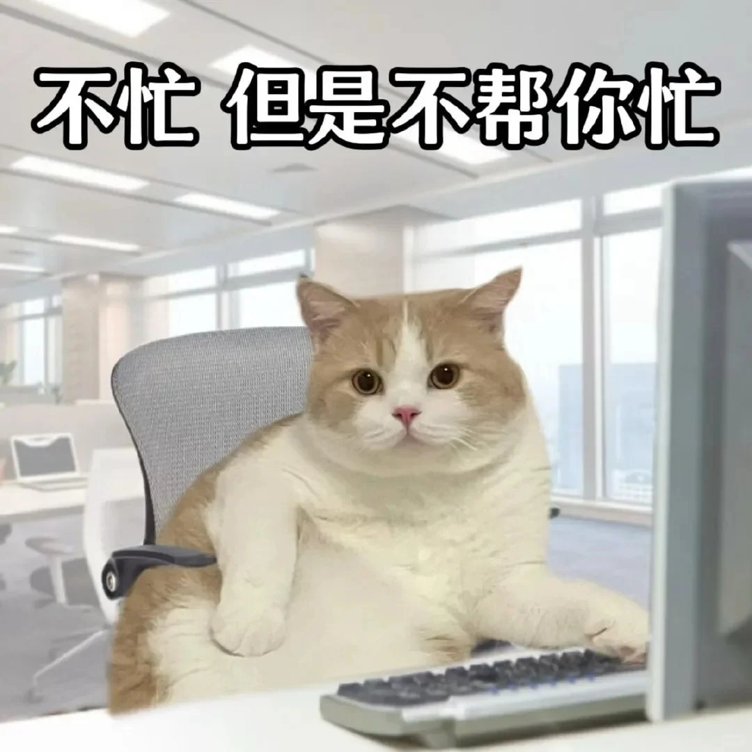 表情包｜打工猫日常 3