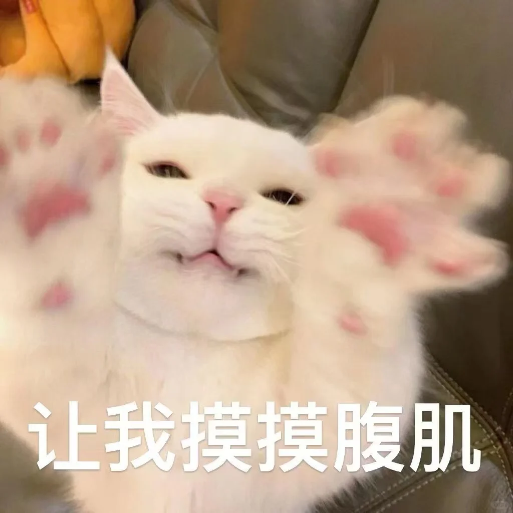 ?猫咪表情包