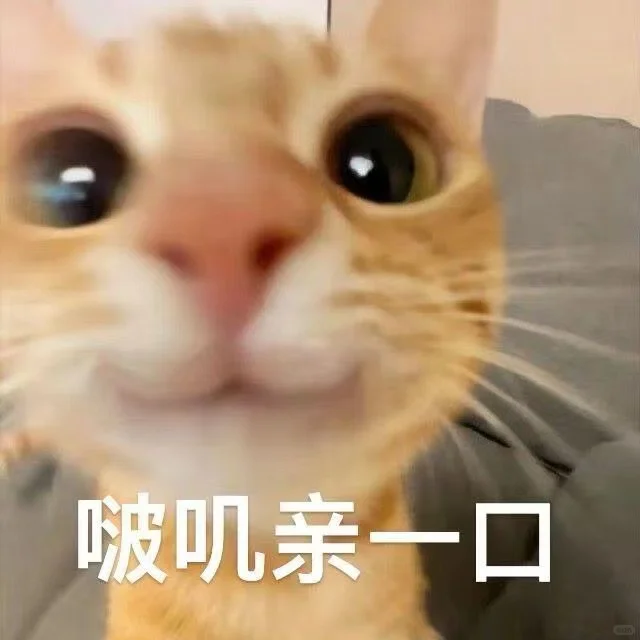 ?猫咪表情包