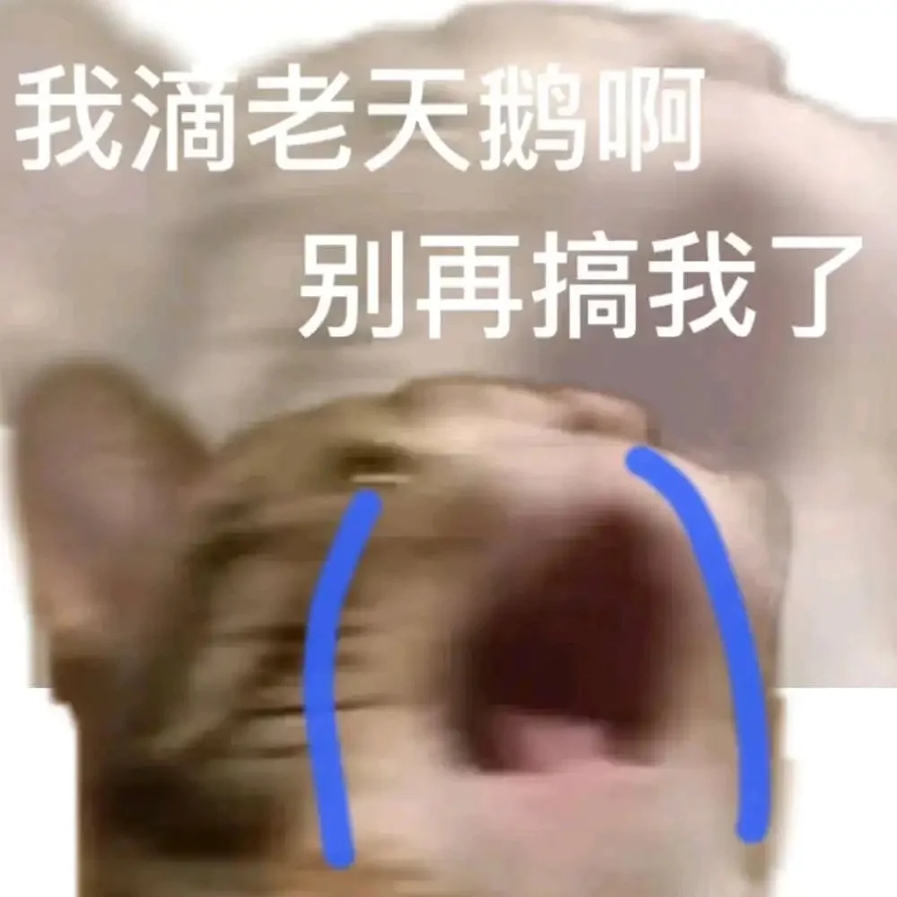 小猫表情包