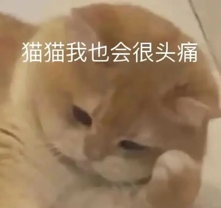 猫猫表情包. 越想越气 偷偷抹泪