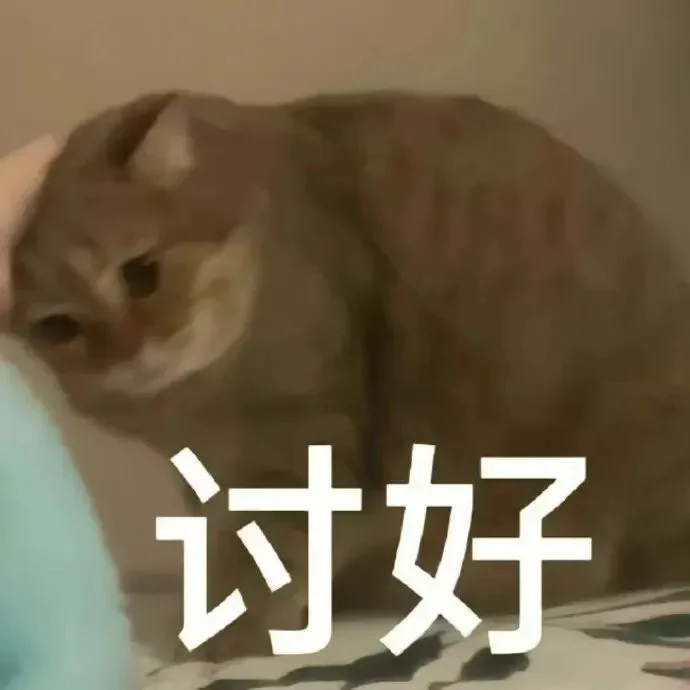 猫猫表情包