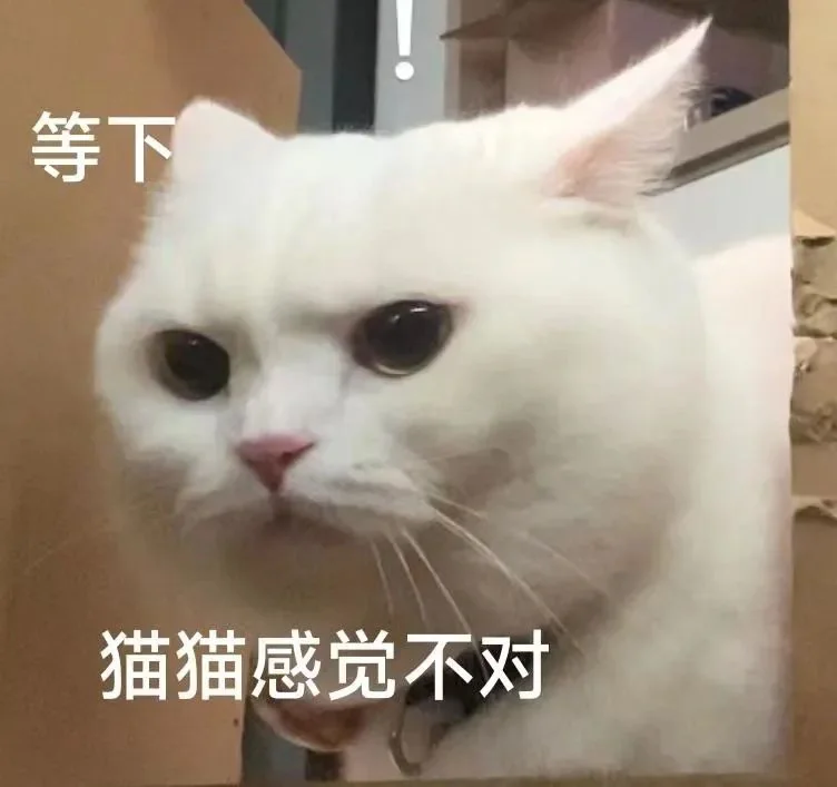 猫猫表情包