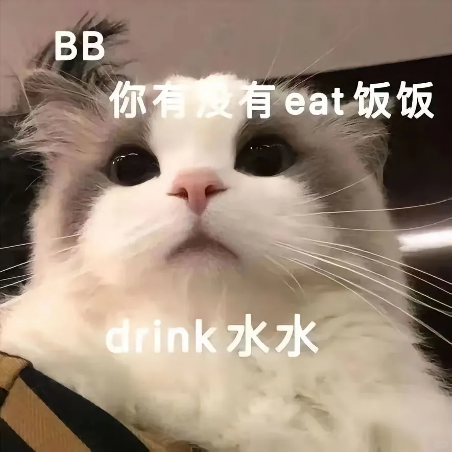 猫咪情侣表情包