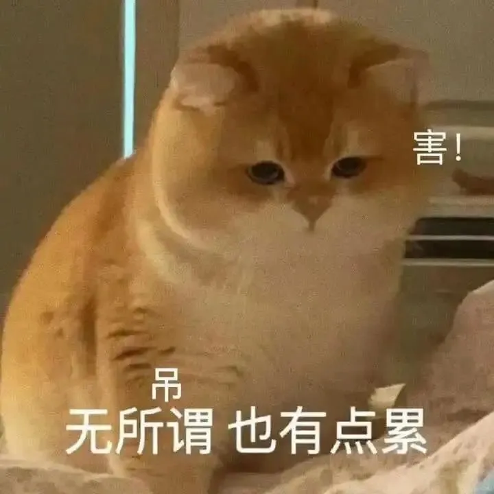 猫猫表情包. 越想越气 偷偷抹泪