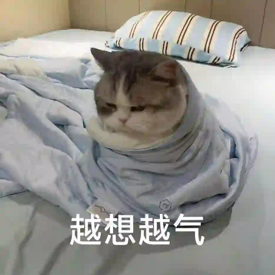 猫猫表情包. 越想越气 偷偷抹泪