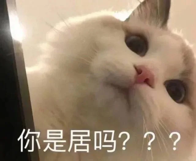 猫猫表情包