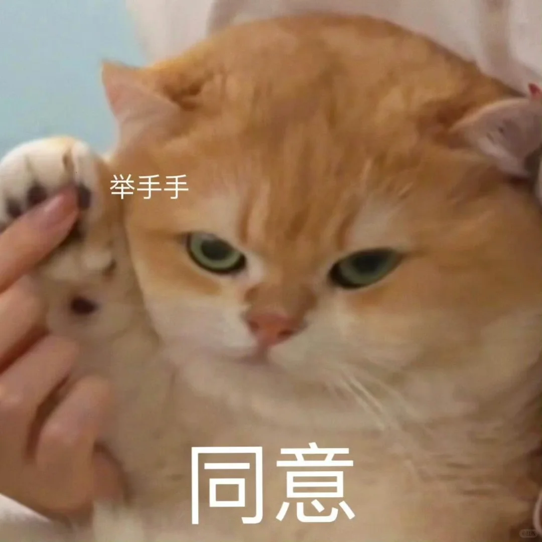 可爱猫猫表情包