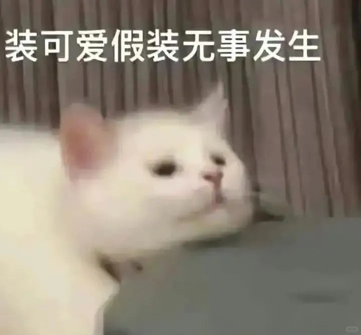 猫猫表情包. 越想越气 偷偷抹泪