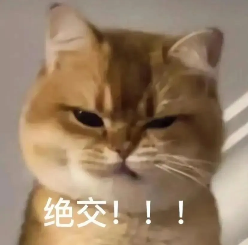 猫猫表情包. 越想越气 偷偷抹泪