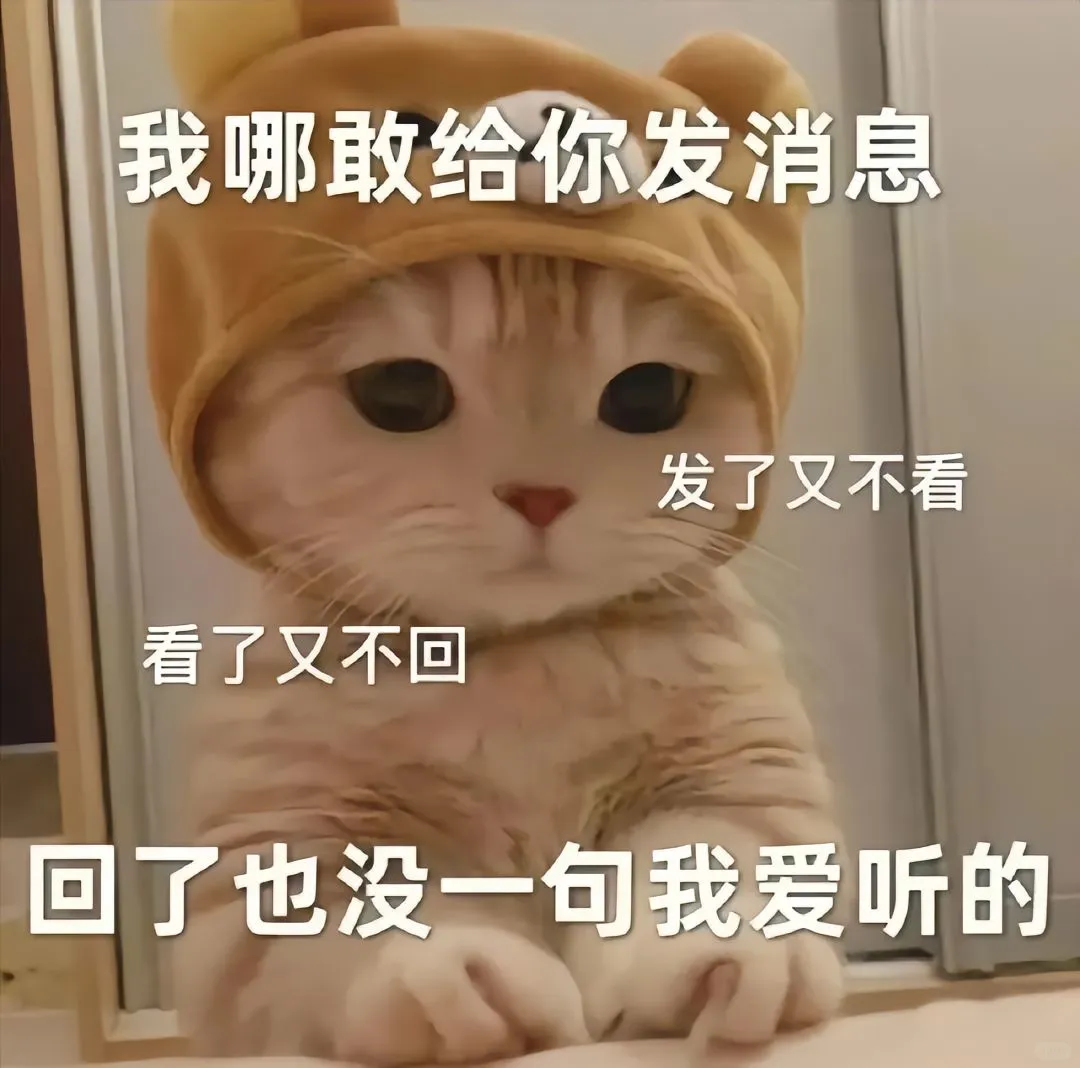 猫咪情侣表情包