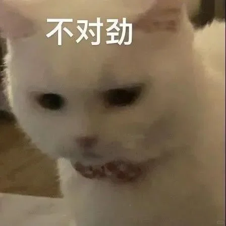 猫猫表情包