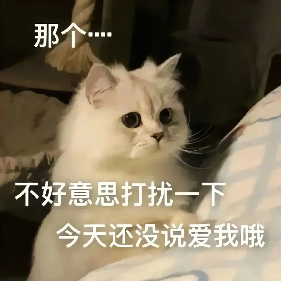 猫咪情侣表情包