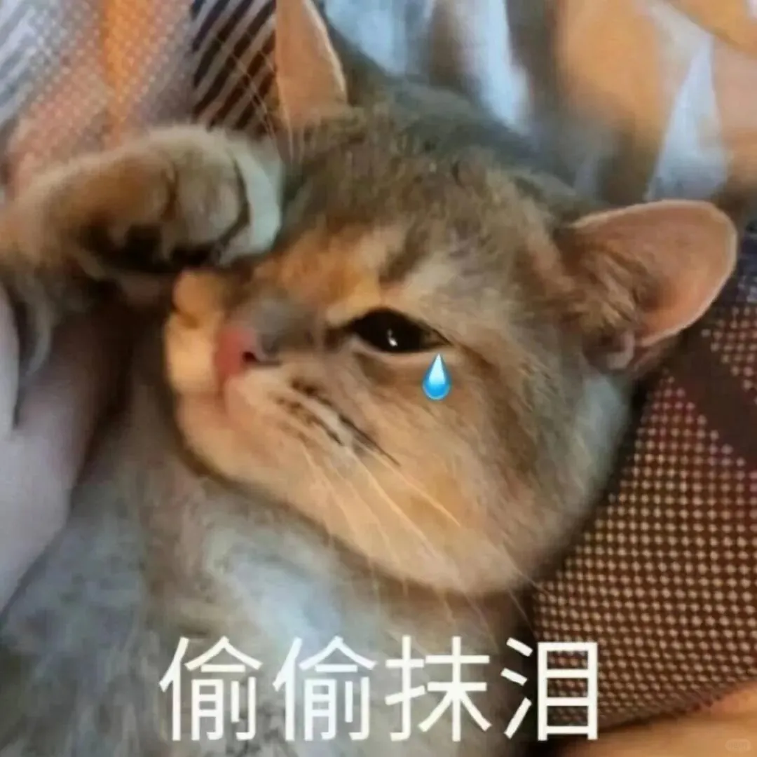 猫猫表情包. 越想越气 偷偷抹泪