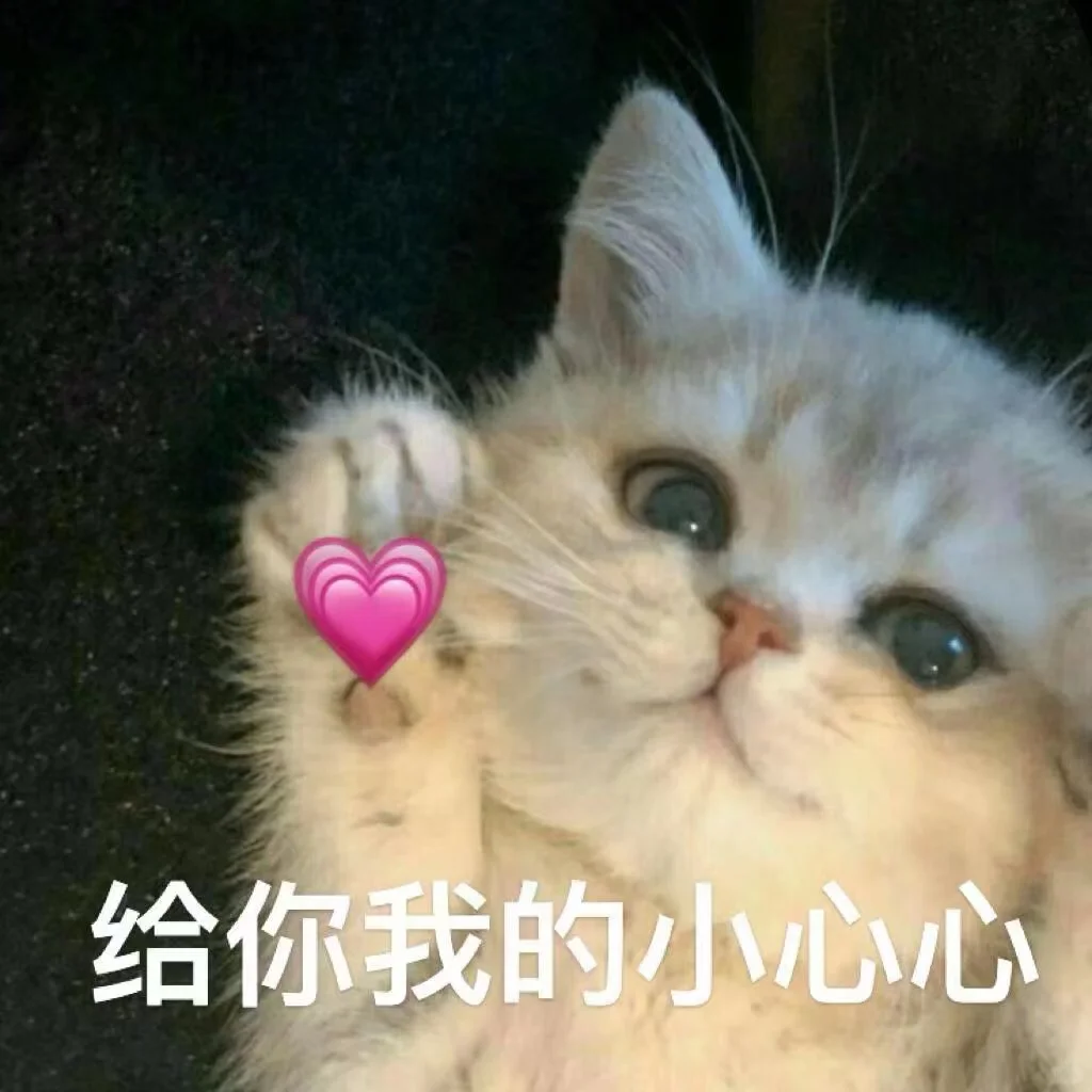 ?猫咪表情包