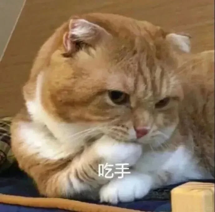 猫猫表情包