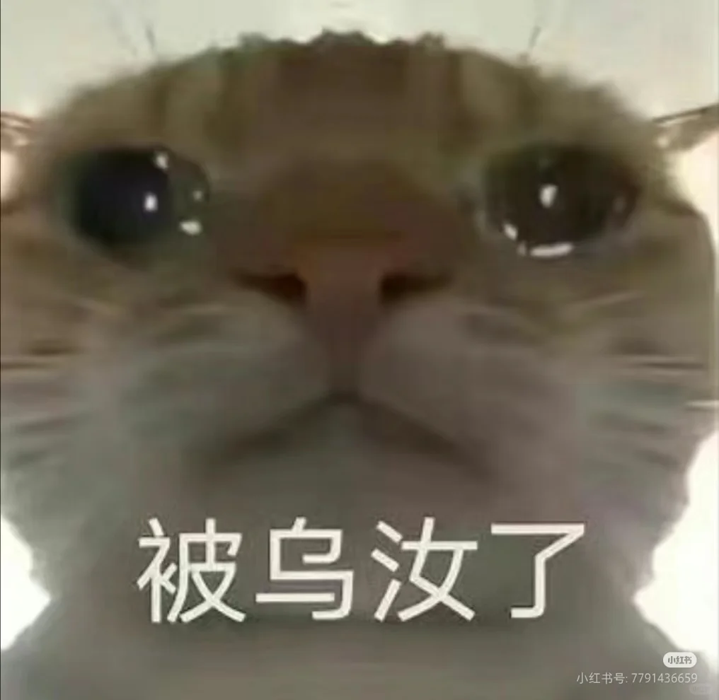 #奇奇怪怪猫咪表情包