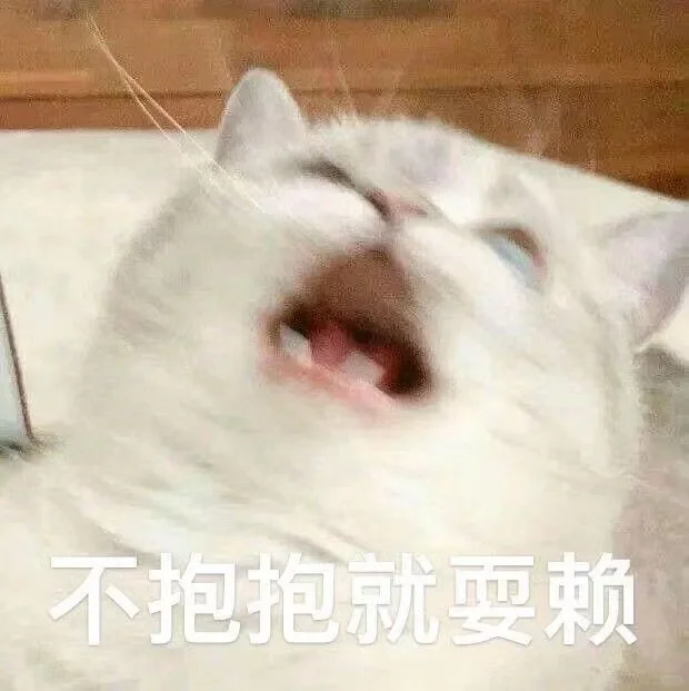 ?猫咪表情包