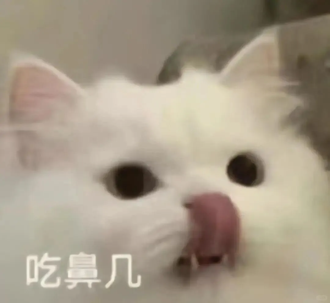 猫猫表情包. 越想越气 偷偷抹泪