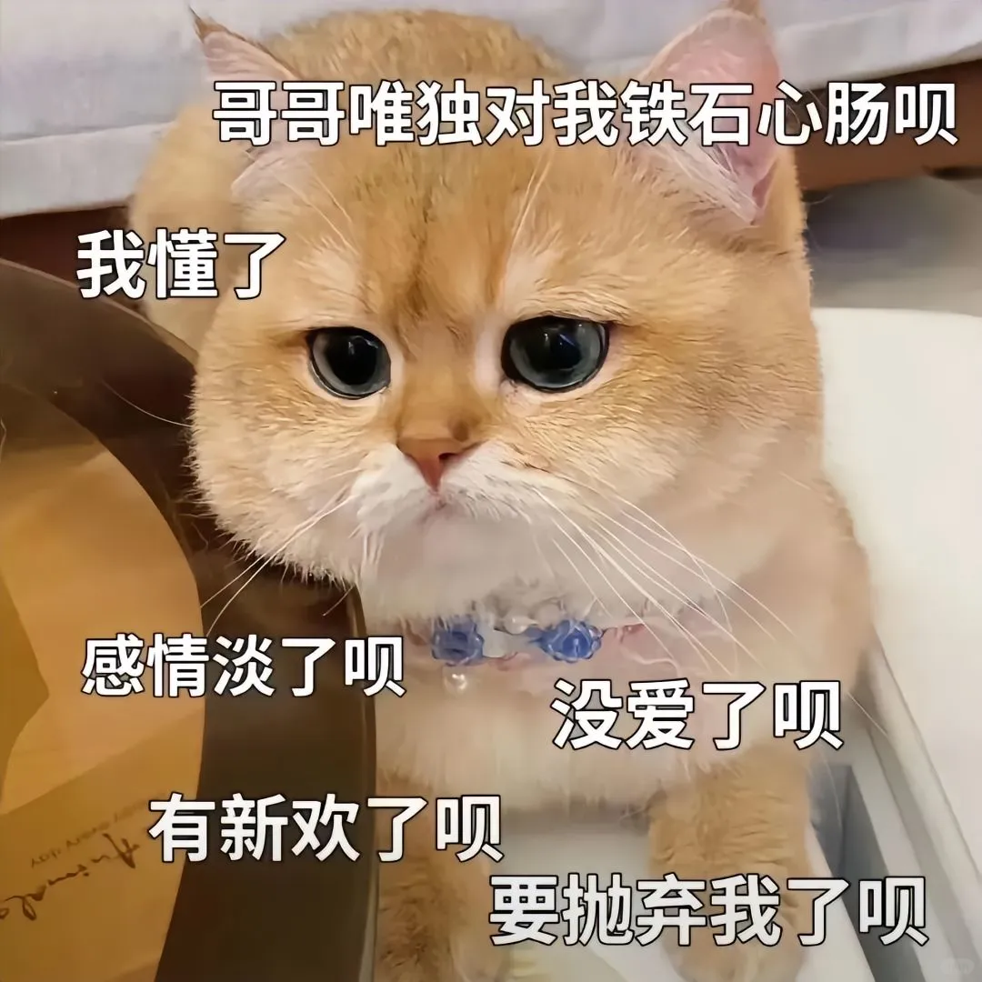 猫咪情侣表情包