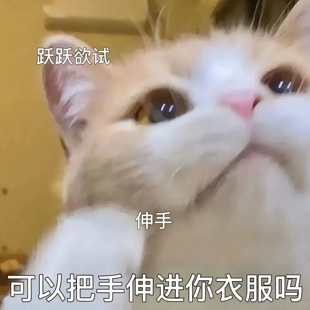 猫咪情侣表情包