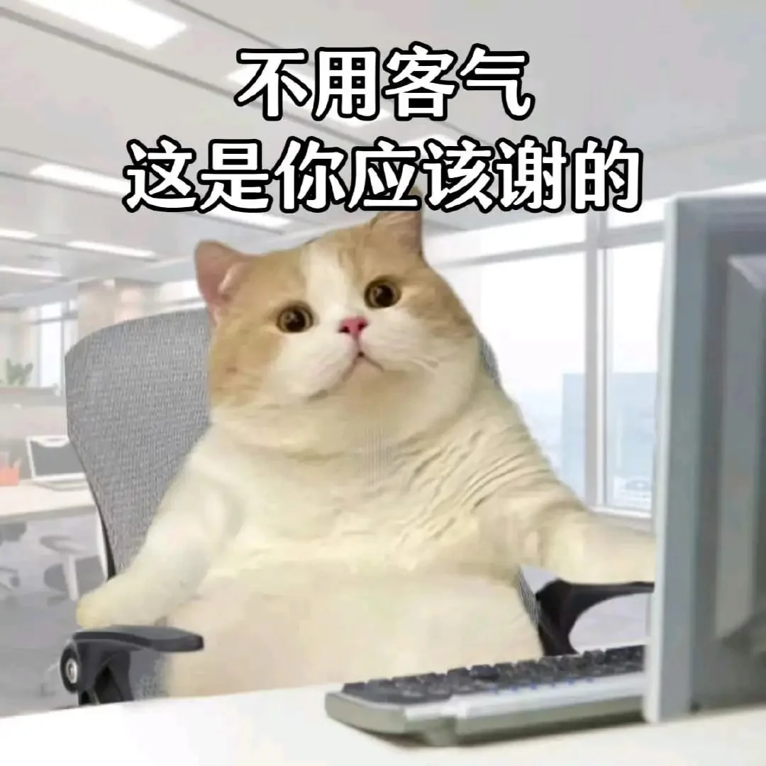 表情包｜打工猫日常 3