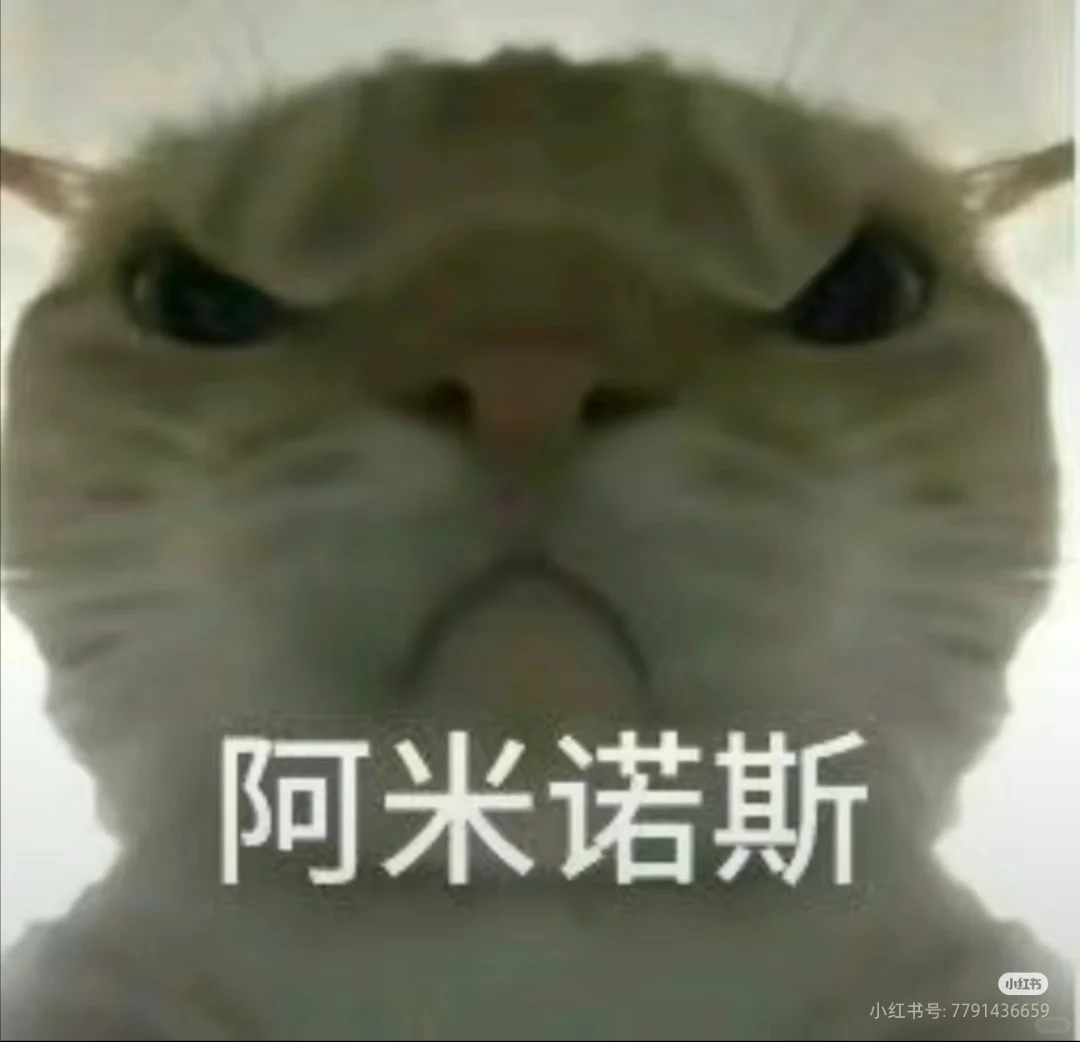 #奇奇怪怪猫咪表情包