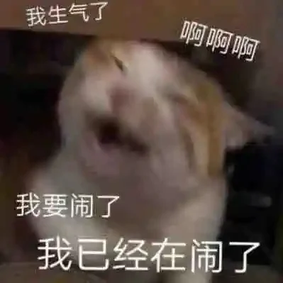 小猫表情包