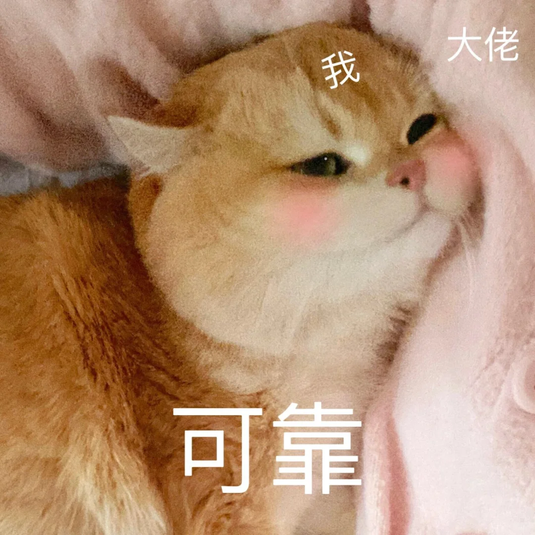 可爱猫猫表情包