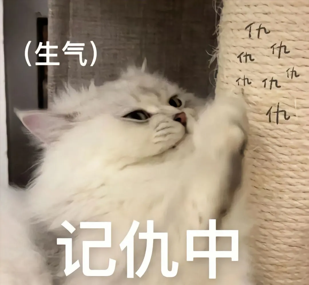 猫咪情侣表情包