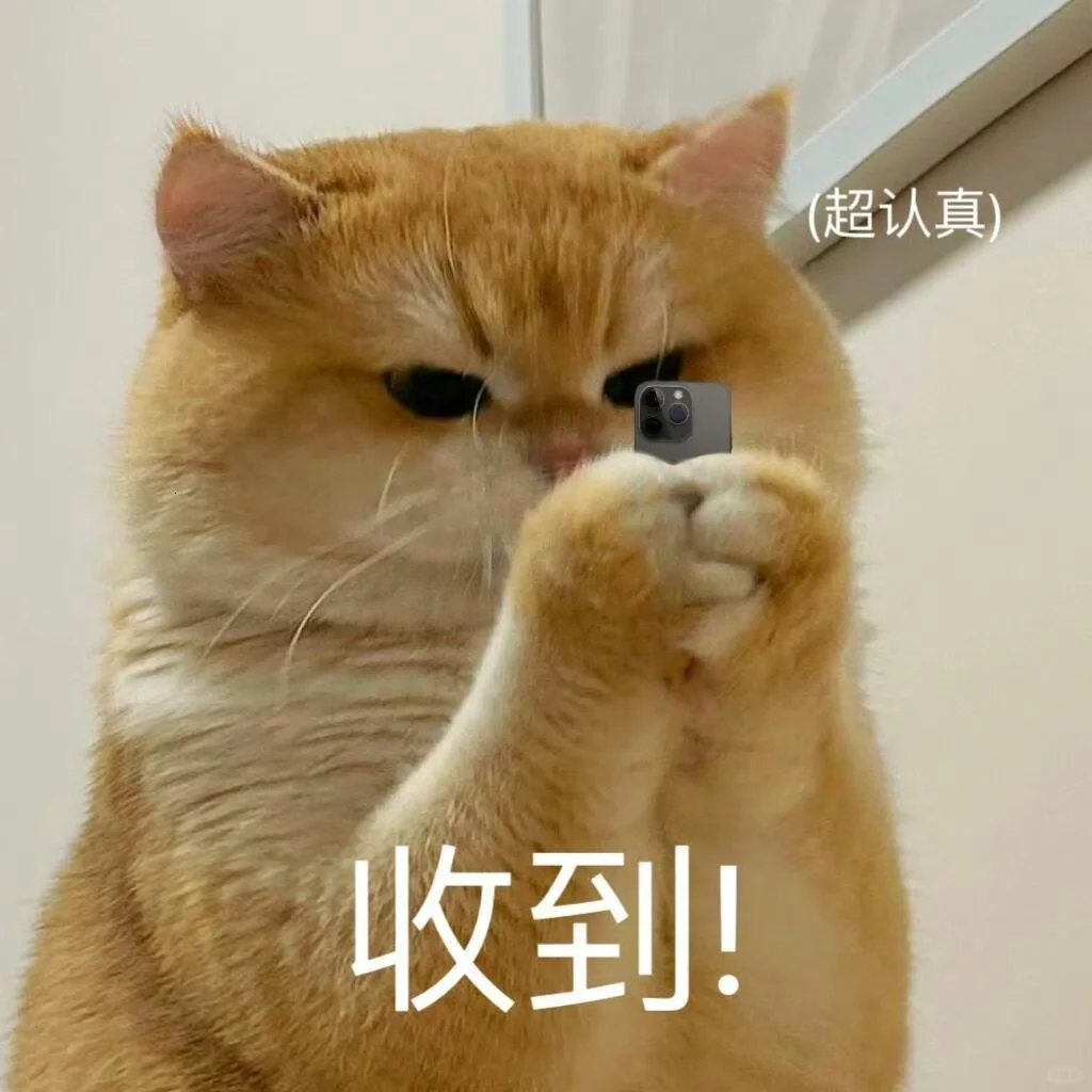 可爱猫猫表情包