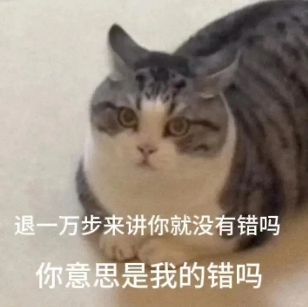 小猫表情包