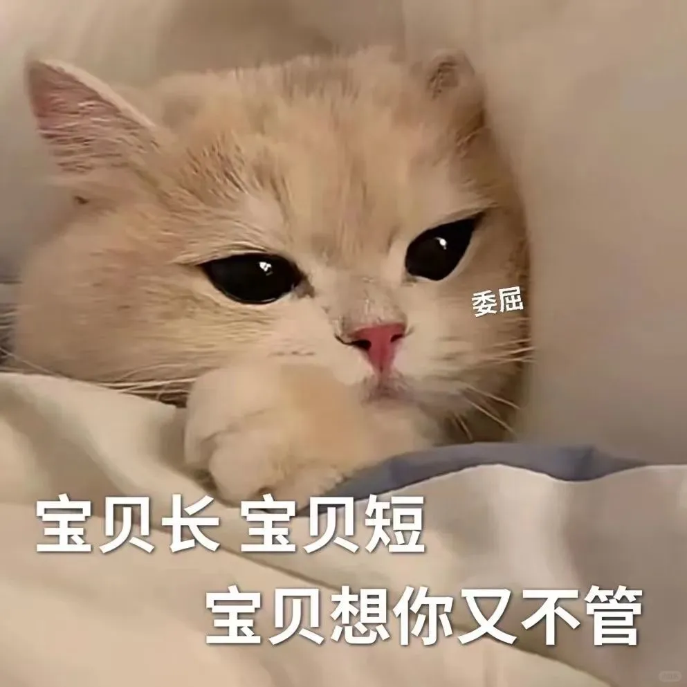 猫猫表情包. 越想越气 偷偷抹泪