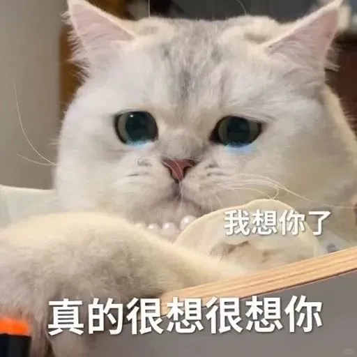 猫猫表情包. 越想越气 偷偷抹泪