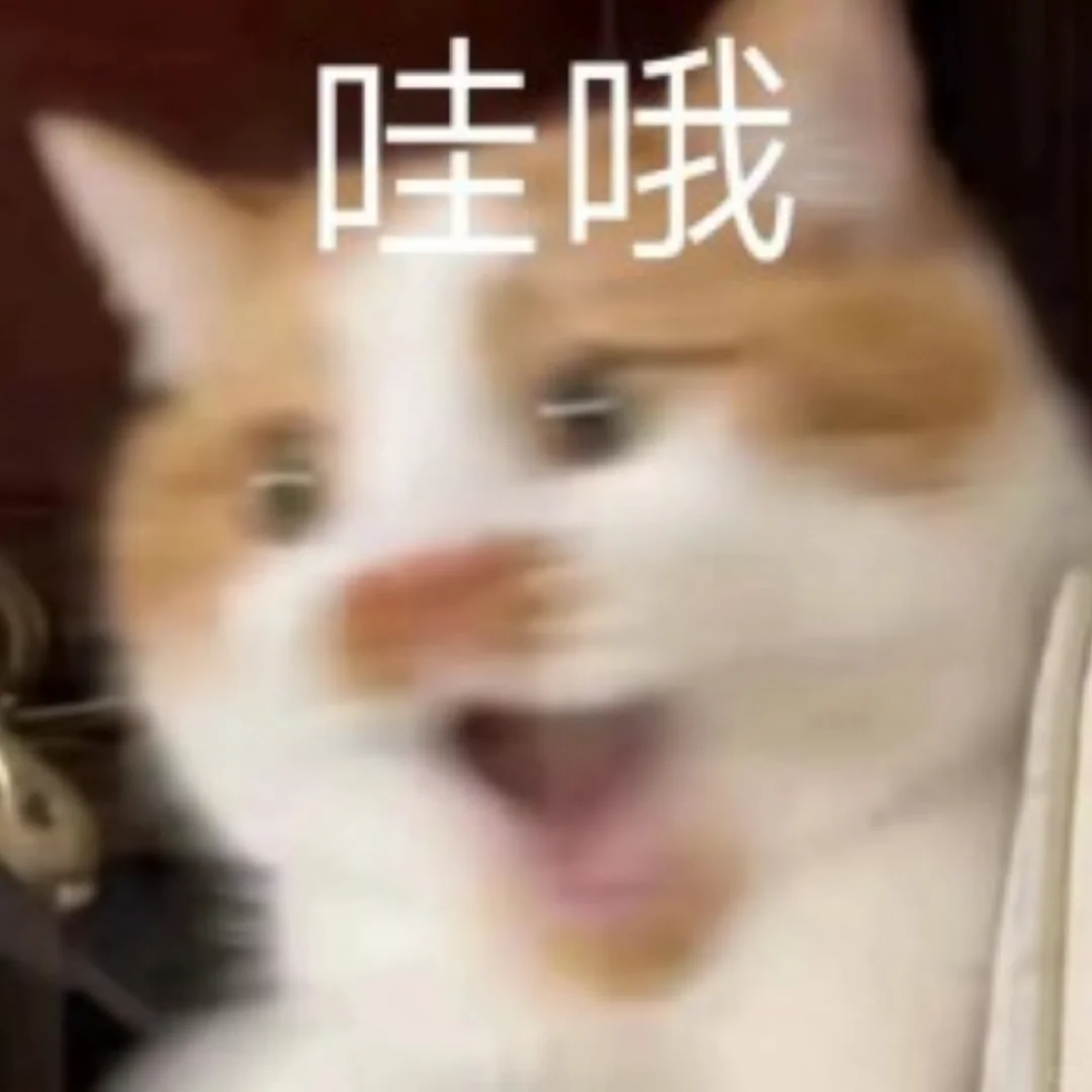 猫猫表情包21｜太有趣啦！